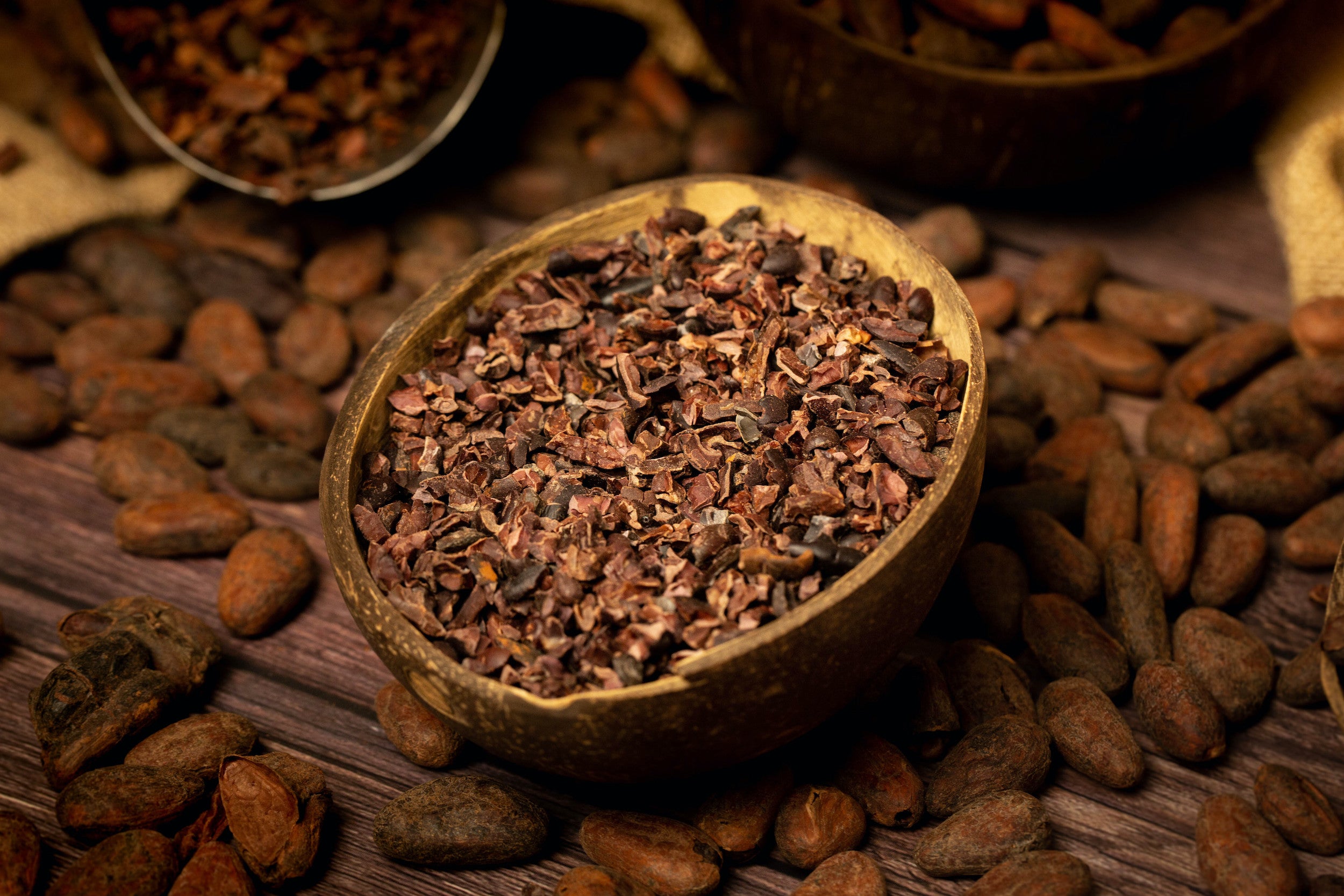 A closer look at Cocoa Nibs And Theobromine In Dog Treats