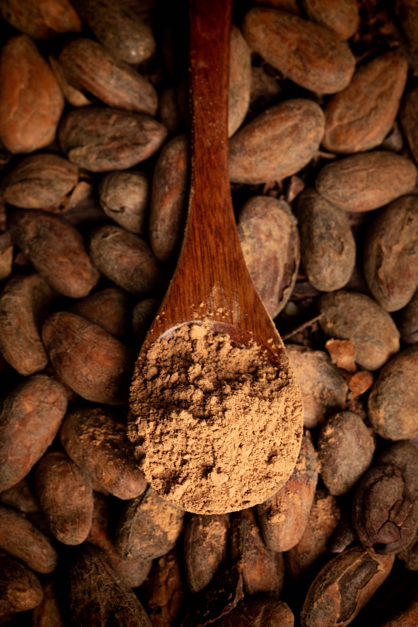 POKAO | Cocoa Powder